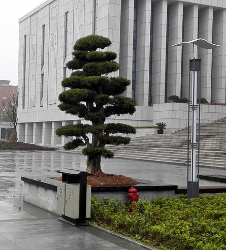 吴兴法院市政景观绿化配套工程